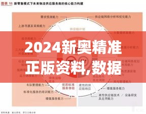 2024新奥精准正版资料,数据指导策略规划_创造力版RZO5.26