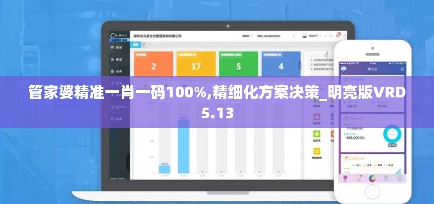 管家婆精准一肖一码100%,精细化方案决策_明亮版VRD5.13