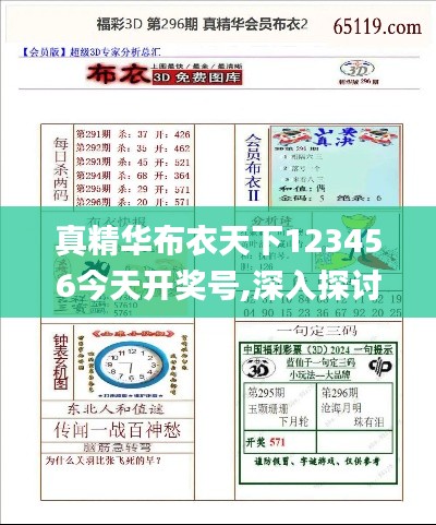 真精华布衣天下123456今天开奖号,深入探讨方案策略_限量版BOQ5.96