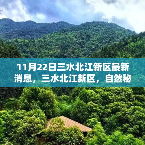 天潢贵胄 第4页