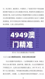 4949澳门精准免费大全2023第332期,实地数据评估分析_携带版BXT11.49