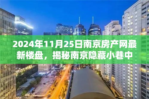 揭秘南京隐藏小巷的宝藏小店与最新房产动态，探寻环境魅力与房产新宠（2024年11月25日）