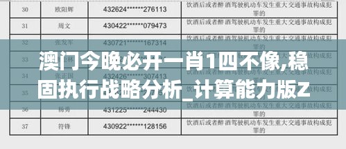 澳门今晚必开一肖1四不像,稳固执行战略分析_计算能力版ZGF13.50