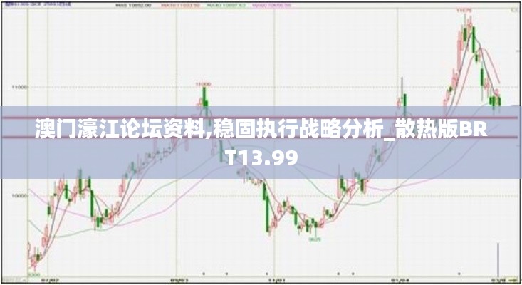 澳门濠江论坛资料,稳固执行战略分析_散热版BRT13.99