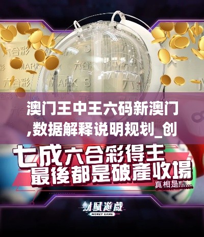 澳门王中王六码新澳门,数据解释说明规划_创新版XKK13.4