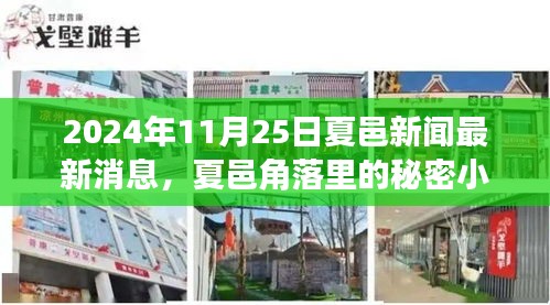 夏邑角落的神秘小店，探索独特风味之旅——夏邑新闻独家报道 2024年11月25日