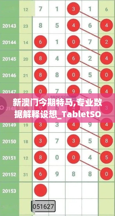 新澳门今期特马,专业数据解释设想_TabletSOB13.81