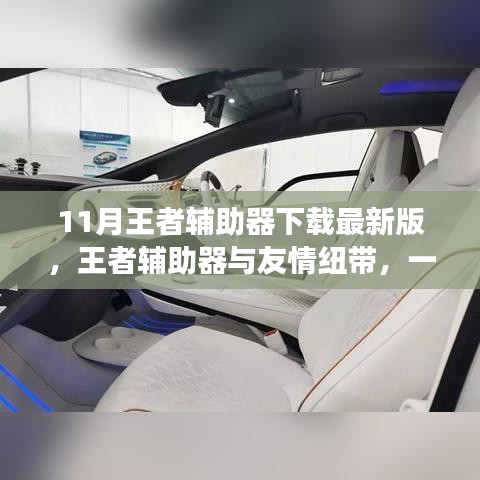 王者辅助器，友情纽带与温馨故事