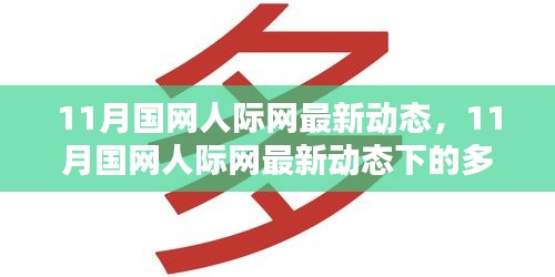 11月国网人际网最新动态解析，多元观点下的探析与聚焦某某观点