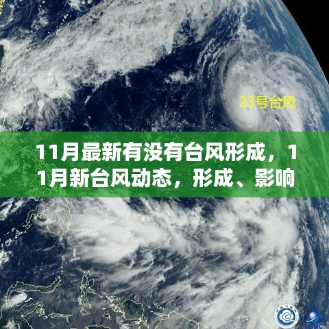 11月新台风动态，形成、影响及地位概述