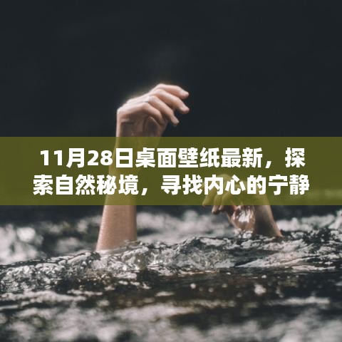 探索自然秘境，寻找内心宁静——最新11月28日桌面壁纸发布，启程心灵之旅！