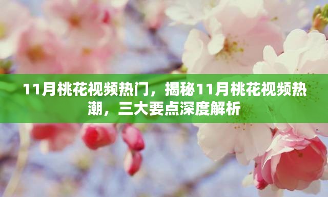 揭秘11月桃花视频热潮，三大要点深度解析与热门赏析