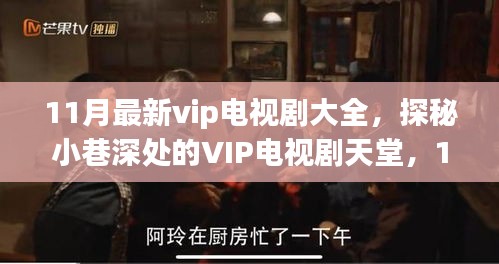 探秘VIP电视剧天堂，11月独家剧集一览