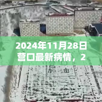 2024年11月28日营口疫情最新动态与观点探讨