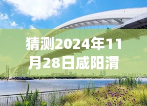 咸阳渭水桥2024年11月28日最新进展预测，特性、体验、竞品对比及用户群体深度分析