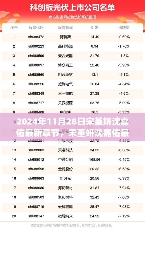 宋堇妍沈嘉佑最新章节揭秘，情感进展与人物洞察