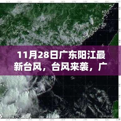 广东阳江最新台风动态更新，应对台风来袭（11月28日）