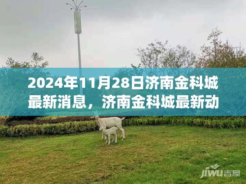 济南金科城最新动态深度评测，2024年11月28日全方位解读