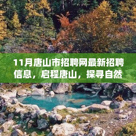 11月唐山市最新招聘信息，启程宁静之旅，探寻自然秘境