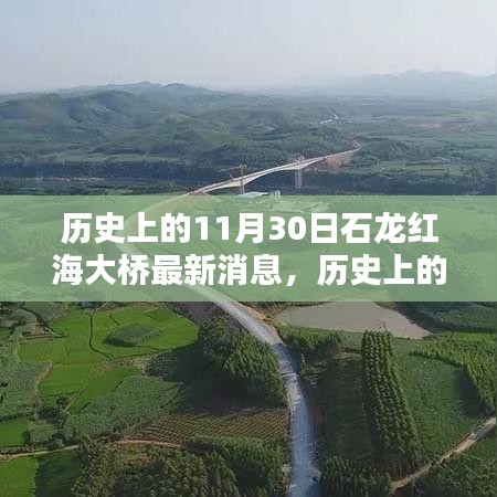 历史上的11月30日，石龙红海大桥最新动态及其深远影响