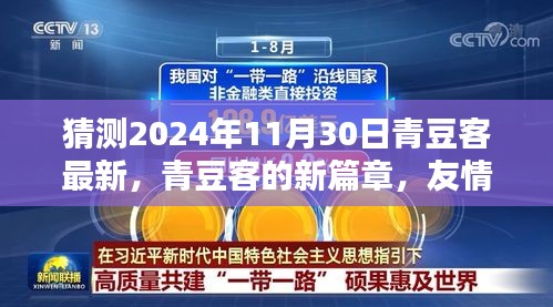 青豆客新篇章，友情、时光与未来之约——2024年11月30日最新预测