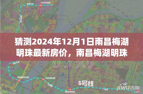 南昌梅湖明珠房价猜想，2024年温馨展望与探索