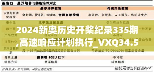 2024新奥历史开桨纪录335期,高速响应计划执行_VXQ34.575商务版