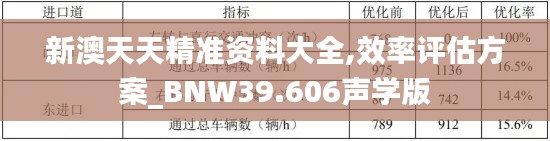 新澳天天精准资料大全,效率评估方案_BNW39.606声学版