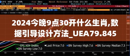 2024今晚9点30开什么生肖,数据引导设计方法_UEA79.845时尚版