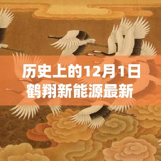 鹤翔新能源动态速递，历史上的12月1日最新进展全方位解读