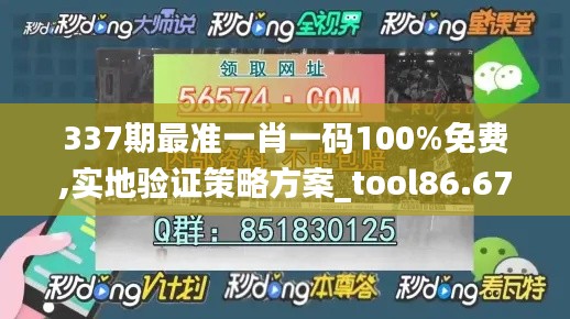 337期最准一肖一码100%免费,实地验证策略方案_tool86.679-4