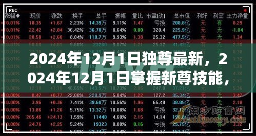 2024年12月1日，掌握新尊技能，引领你成为专家之路