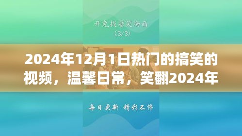 揭秘温馨日常背后的故事，2024年12月1日热门搞笑视频笑翻全场