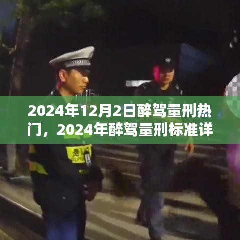 2024年醉驾量刑详解及应对指南，标准、热门问题与应对步骤，适用于初学者与进阶用户