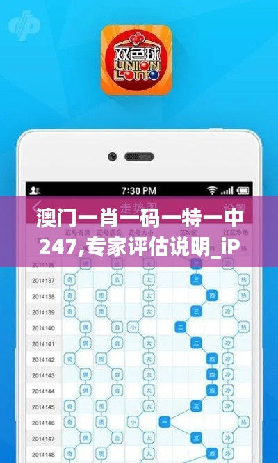 澳门一肖一码一特一中247,专家评估说明_iPhone74.531-7