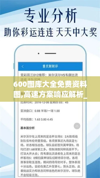 600图库大全免费资料图,高速方案响应解析_Premium50.678-2