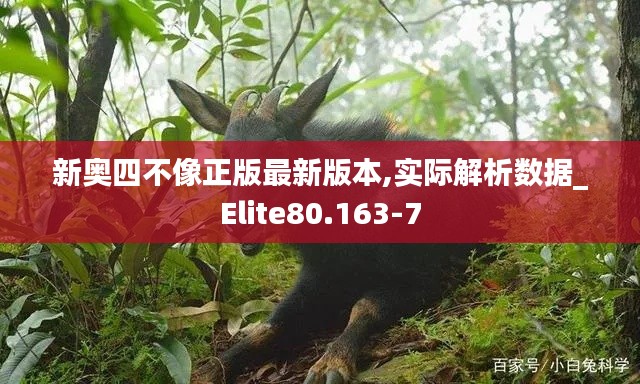 新奥四不像正版最新版本,实际解析数据_Elite80.163-7