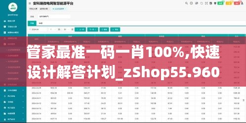 管家最准一码一肖100%,快速设计解答计划_zShop55.960-9