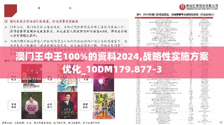 澳门王中王100%的资料2024,战略性实施方案优化_10DM179.877-3