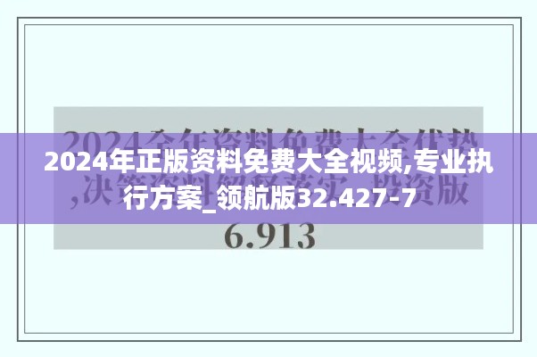 2024年正版资料免费大全视频,专业执行方案_领航版32.427-7