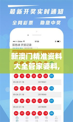 新澳门精准资料大全管家婆料,经典解释定义_W55.473-2