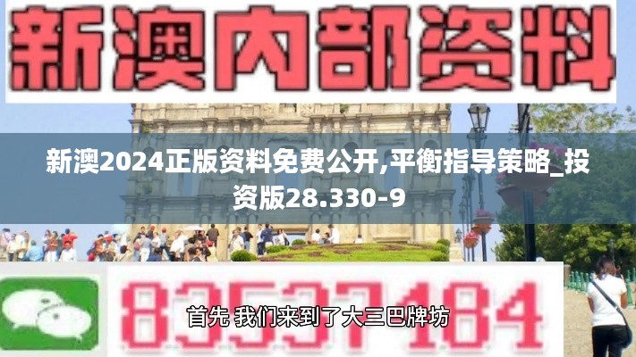 新澳2024正版资料免费公开,平衡指导策略_投资版28.330-9