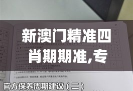 新澳门精准四肖期期准,专业说明解析_XT91.500-1