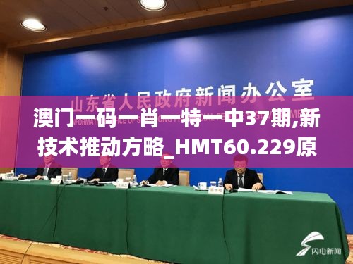 澳门一码一肖一特一中37期,新技术推动方略_HMT60.229原创性版