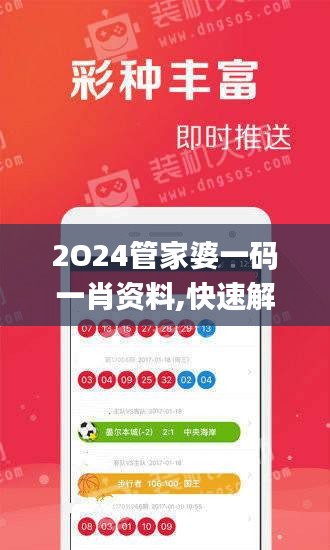 2O24管家婆一码一肖资料,快速解答方案设计_CNL51.665开放版