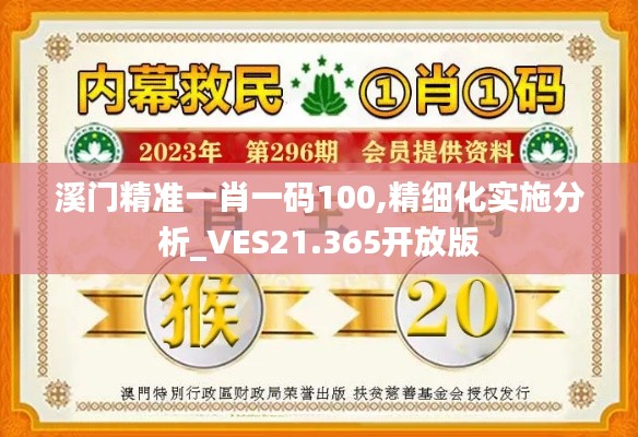 溪门精准一肖一码100,精细化实施分析_VES21.365开放版