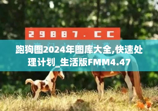 跑狗图2024年图库大全,快速处理计划_生活版FMM4.47