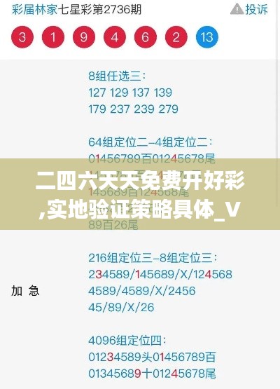 二四六天天免费开好彩,实地验证策略具体_VYZ56.468真元境