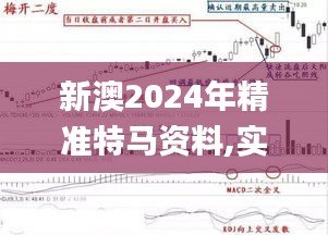 新澳2024年精准特马资料,实践策略设计_Galaxy95.845-8