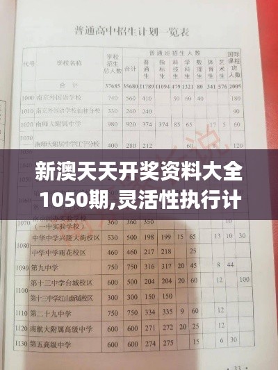 新澳天天开奖资料大全1050期,灵活性执行计划_MP3.740-4